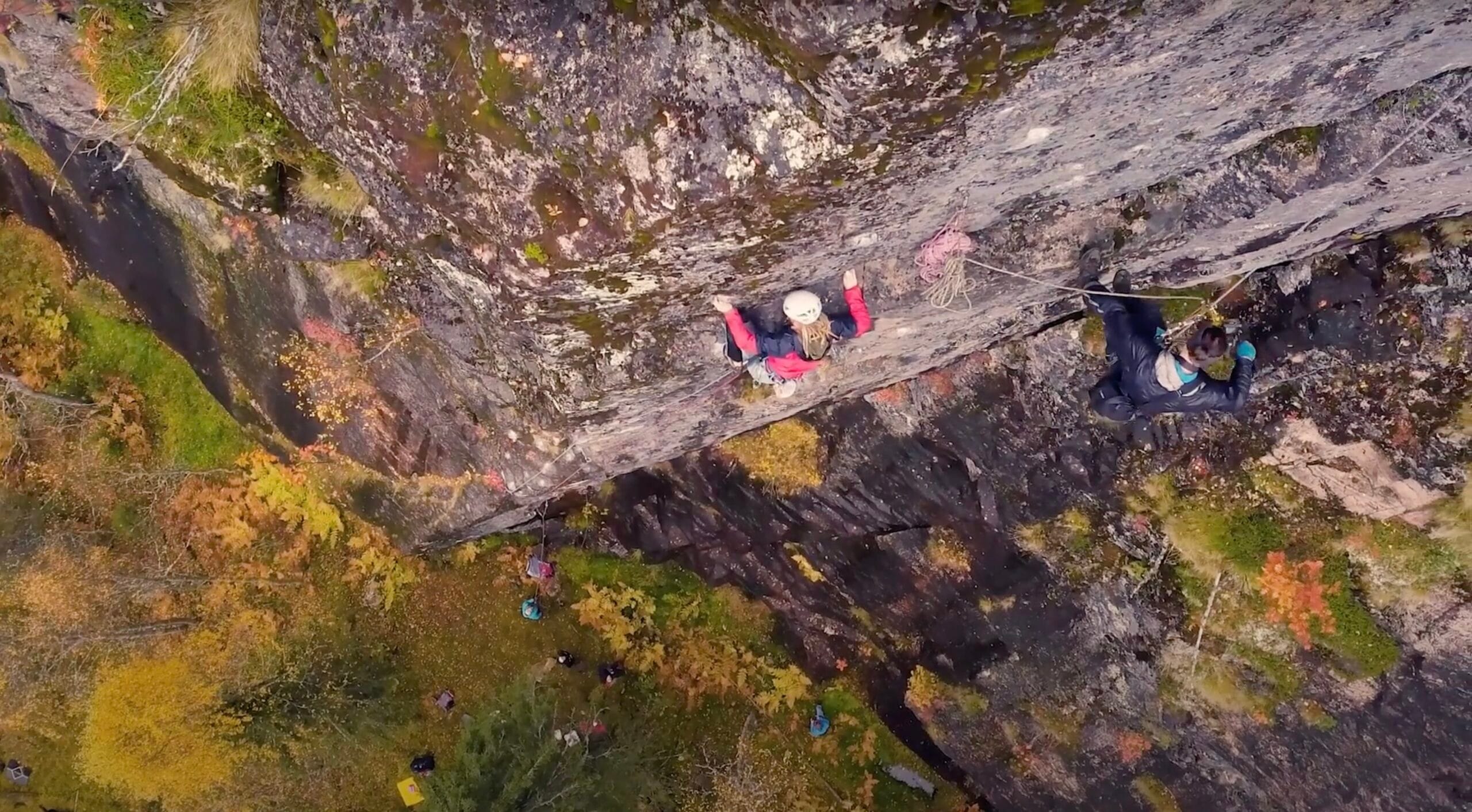 Corona 7a+, Suome pisin trädi Korouomassa